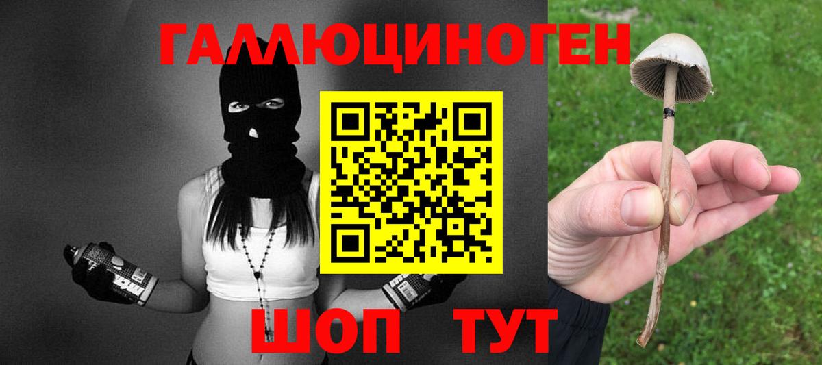 Псилоцибиновые грибы GOLDEN TEACHER  Вход с VPN  Луга 